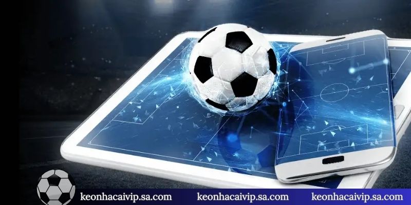 Cách Chia Vốn Đánh Kèo Nhà Cái - 3 Quy Tắc Cho Người Mới 3 3 chú ý trong cách chia vốn đánh kèo nhà cái