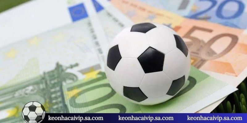 Mẹo Chơi Kèo Rung - Top 4 Thời Điểm Vàng Để Vào Tiền Chuẩn 2 Mẹo chọn giải đấu trước khi cược rung